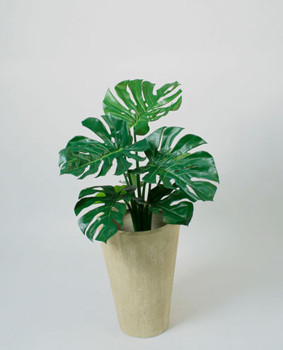01-063 Split Philo 63cm, 01-080 Split Philo 80cm